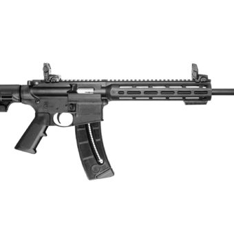Smith & Wesson M&P15-22 SPORT - 10208