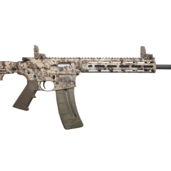 Smith & Wesson M&P15-22