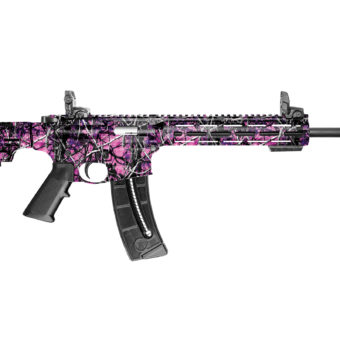 Smith & Wesson M&P15-22