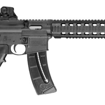 Smith & Wesson M&P15-22 - 811030