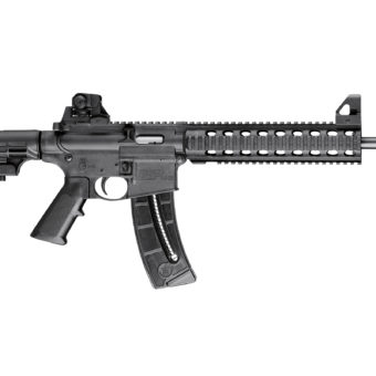 Smith & Wesson M&P15-22 - 811030